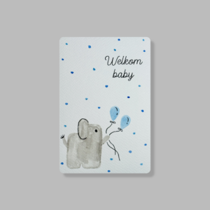 Welkom Baby - jongen